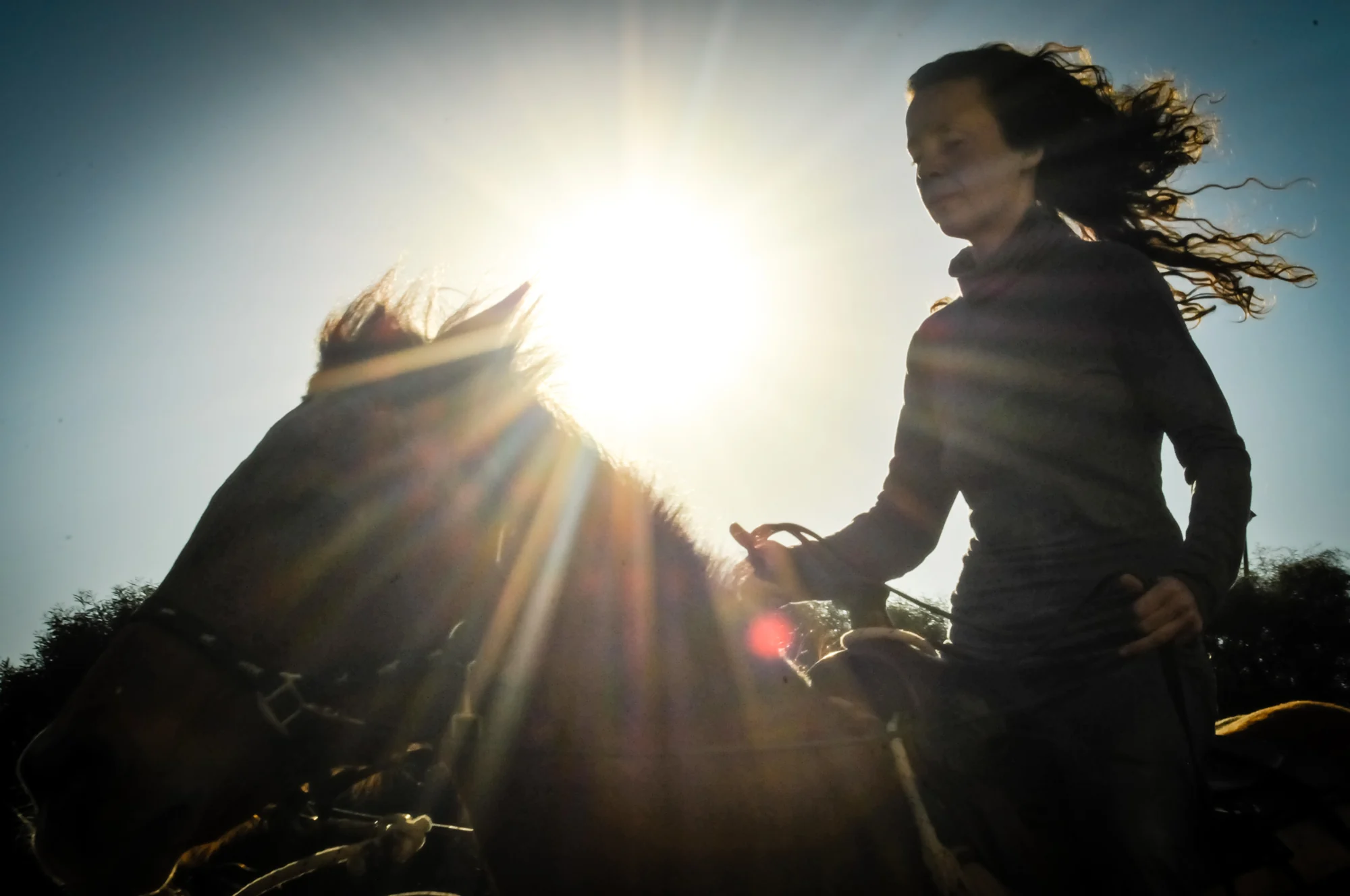 A young person riding a horse in the warm sunlight at Eshbal
